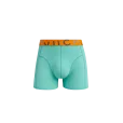 Caspian Basic Mint