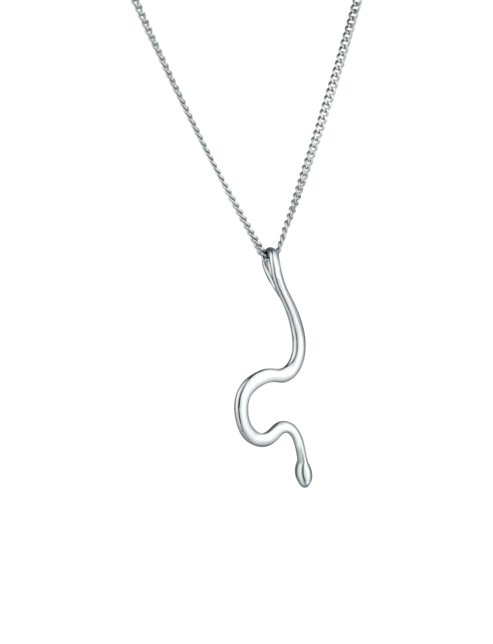 Náhrdelník Vireya Silver