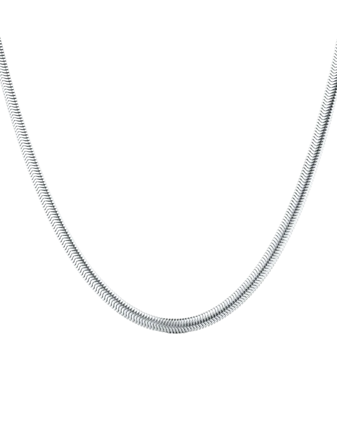 Náhrdelník Evoa Silver