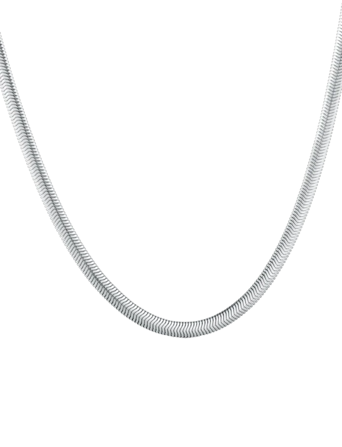 Náhrdelník Evoa Silver