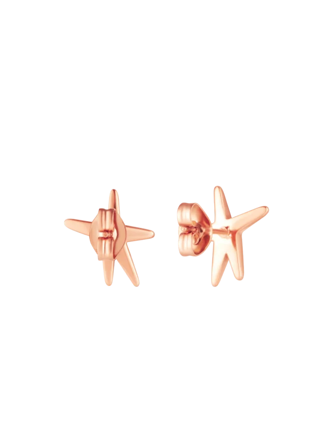 Náušnice Nyxa Rose Gold