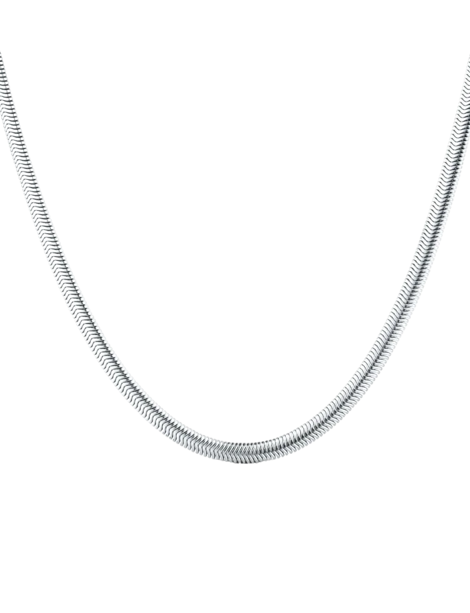 Náhrdelník Evoa Silver
