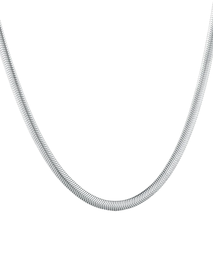 Náhrdelník Evoa Silver
