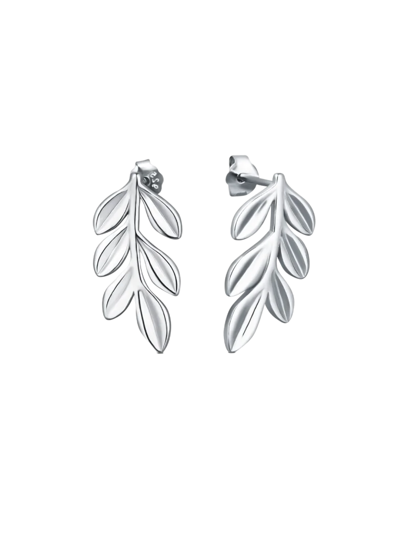 Náušnice Floriana Silver