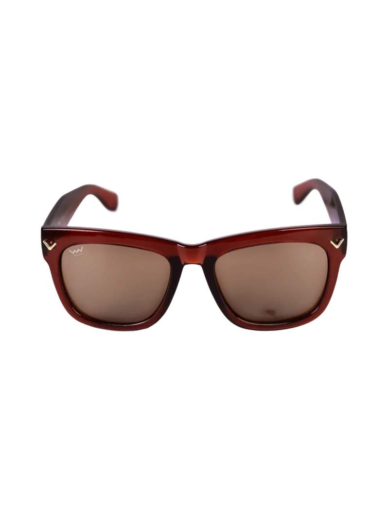 Sollary MN Brown