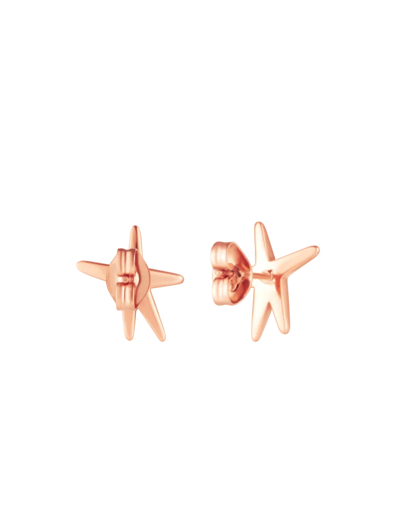 Náušnice Nyxa Rose Gold