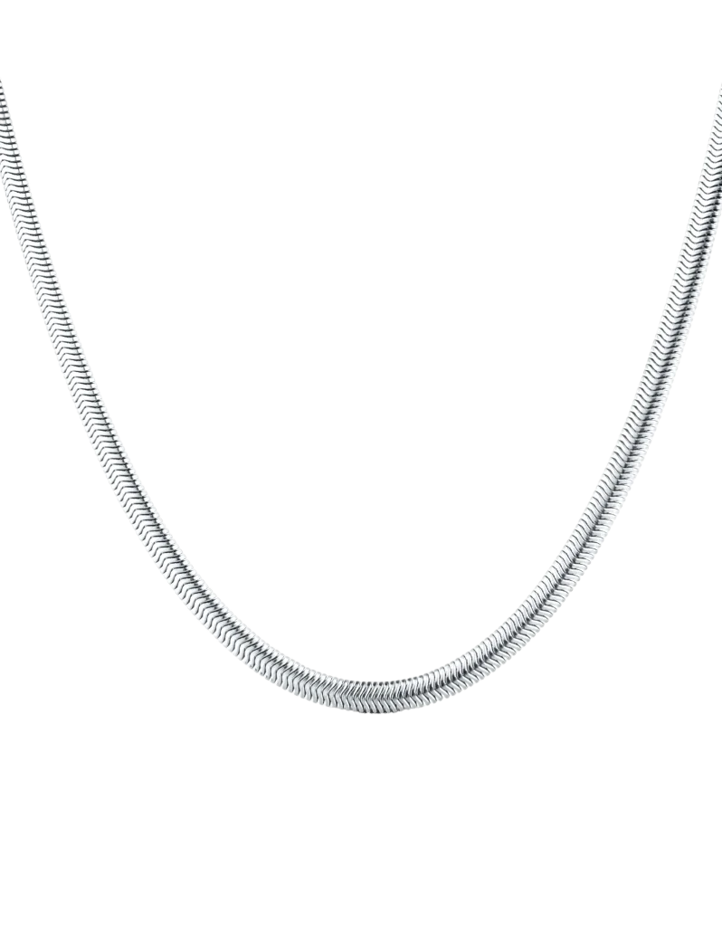 Náhrdelník Evoa Silver
