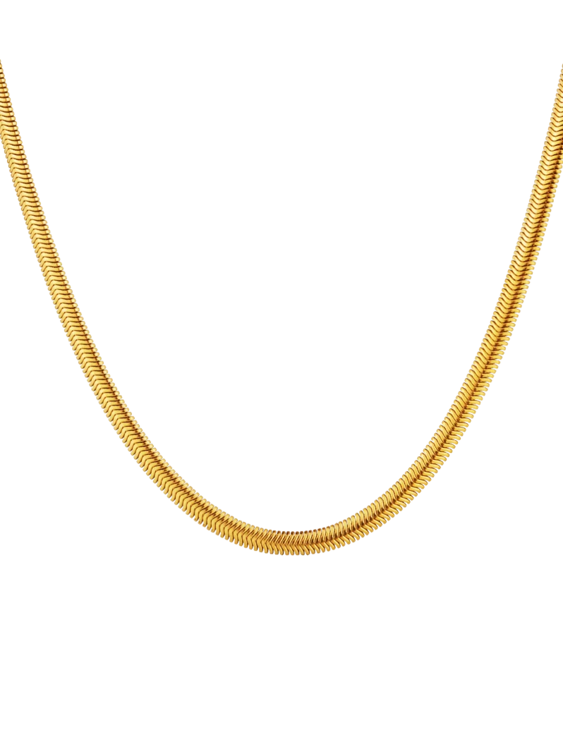 Náhrdelník Evoa Gold